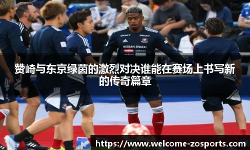 中欧体育