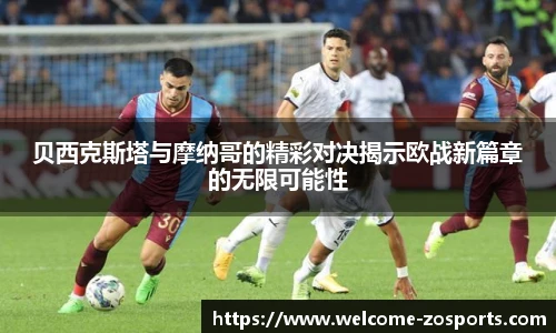 中欧体育