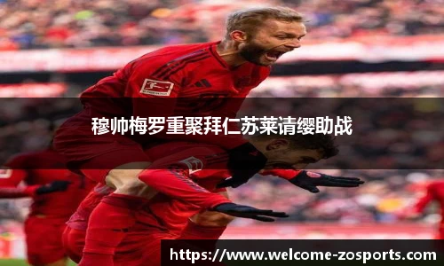 中欧体育