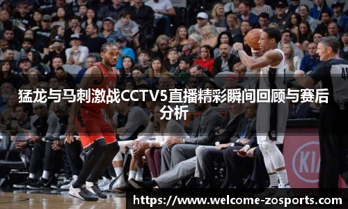 中欧体育官网
