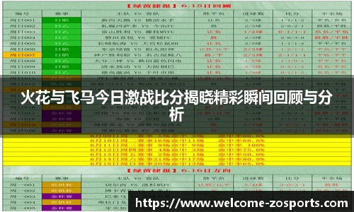 中欧体育
