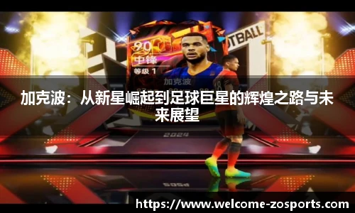 中欧体育官网