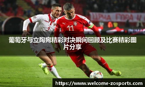中欧体育