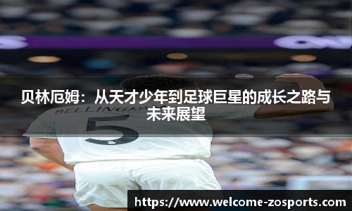 中欧体育
