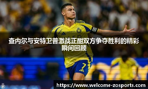中欧体育